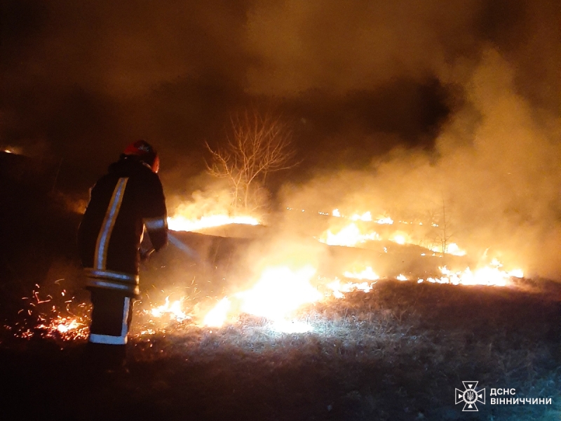 На Вінниччині сталося 26 пожеж в екосистемах