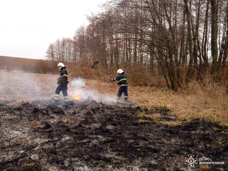 На Вінниччині сталося 26 пожеж в екосистемах