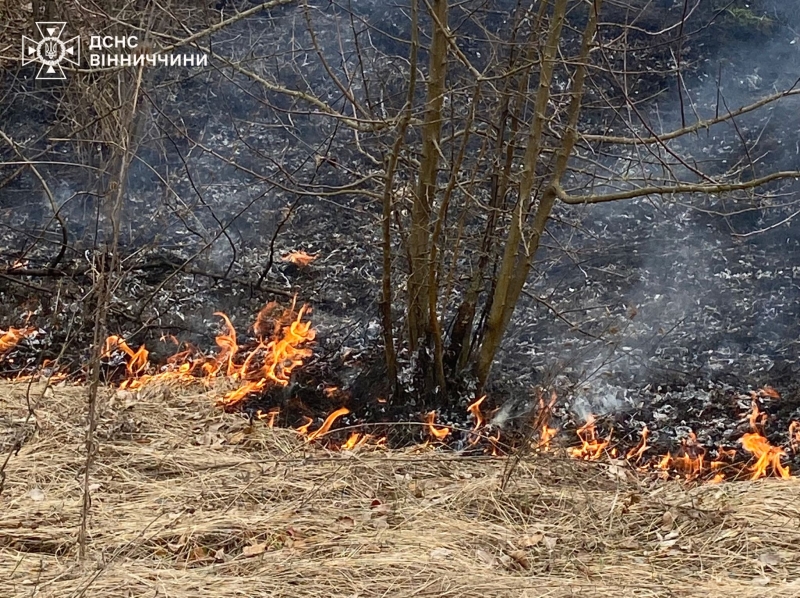 На Вінниччині сталося одинадцять пожеж