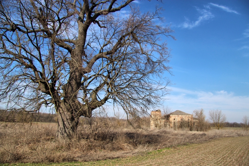 На Вінниччині знайшли невідомий католицький монастир