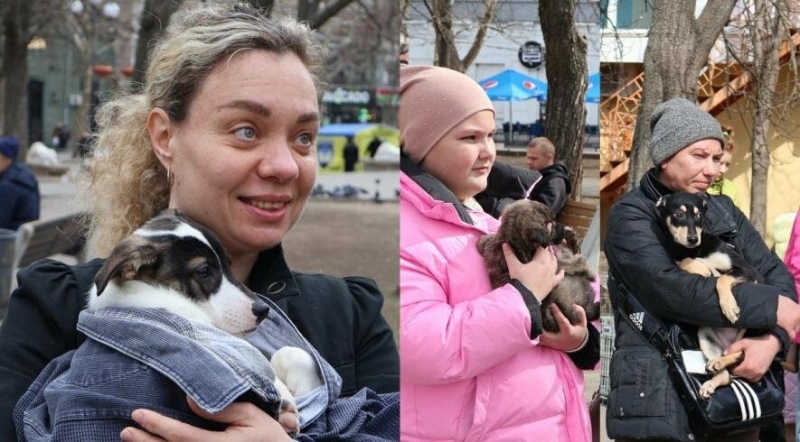 "Нові родини для пухнастиків": у Миколаєві на виставці знайшли домівки для 18 собак та котика, - ФОТО