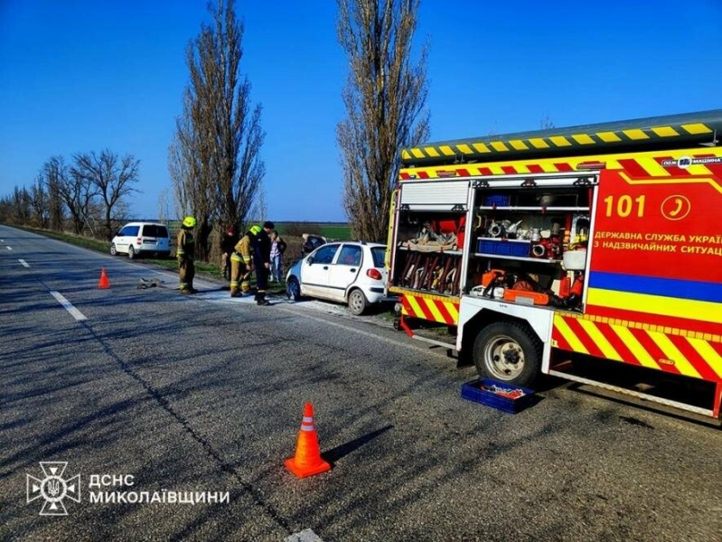 Пекельна доба на Миколаївщині: рятувальники ліквідували 24 пожежі, - ФОТО