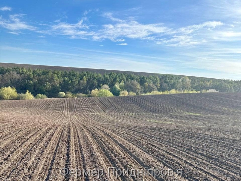 Підсумок тижня торгів &laquo;Земельного банку&raquo;