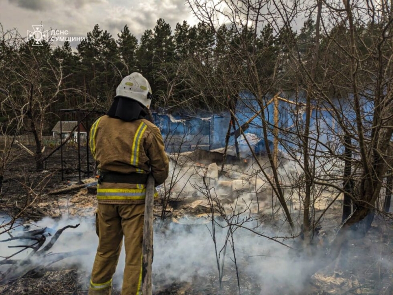 Рятувальники на Сумщині 12 разів гасили пожежі сухої рослинності