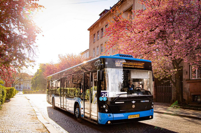 "Сакурові маршрути" комунального транспорту в Ужгороді