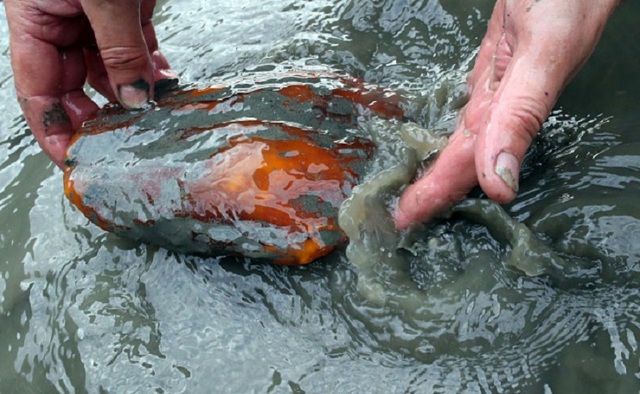 Суд постановив, що 2000$ для начальника СБУ на Дубровиччині &ndash; це &laquo;на лікування&raquo;