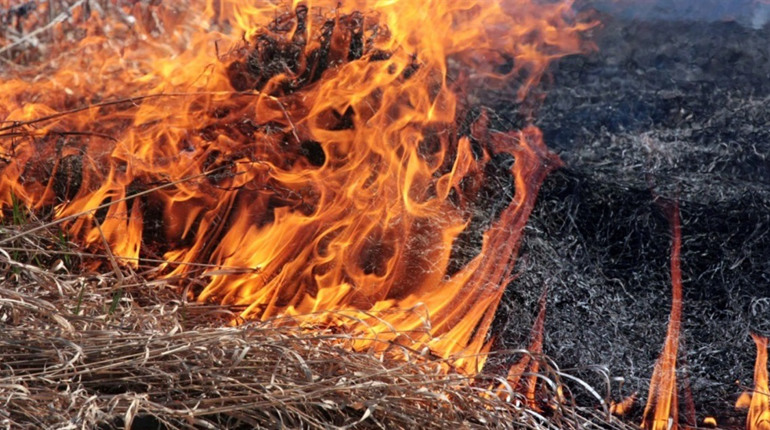 Трагедія на Шосткинщині: спалювання сухої трави призвело до загибелі людини
