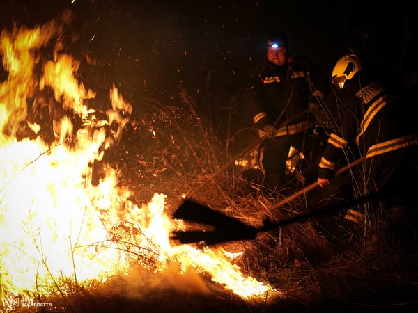 У 5 разів більше, ніж минулоріч: рятувальники з початку року ліквідували на Закарпатті вже 655 загорянь сухої трави, горіли понад 699 га землі