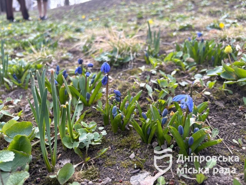 Уже з сьогоднішнього понеділка 24 березня між Дніпром та Запоріжжям запрацює омплекс фіксації порушень правил д