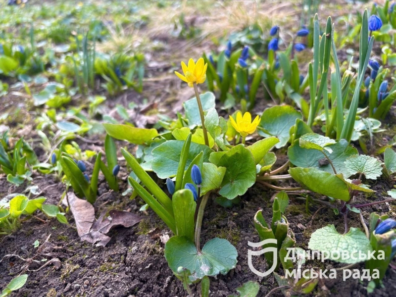 Уже з сьогоднішнього понеділка 24 березня між Дніпром та Запоріжжям запрацює омплекс фіксації порушень правил д