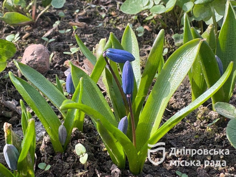 Уже з сьогоднішнього понеділка 24 березня між Дніпром та Запоріжжям запрацює омплекс фіксації порушень правил д