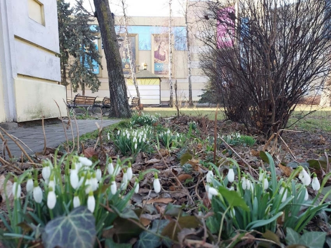 Весна буде тепла й суха