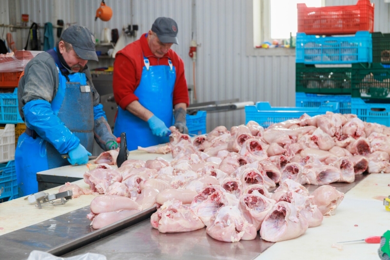 Запорізькі бренди власного виробництва