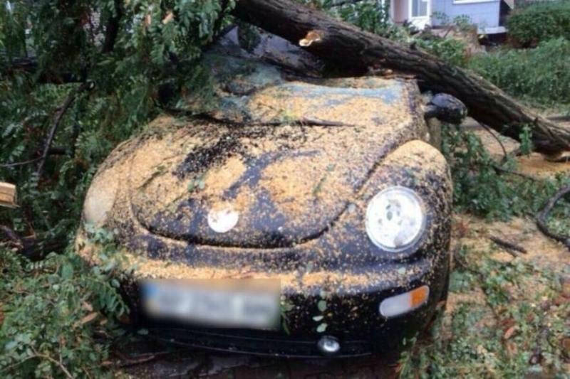 Похолодання потужно насувається на регіони України, гроза та дощ ошелешать негодою: арктичний холод суне в області
