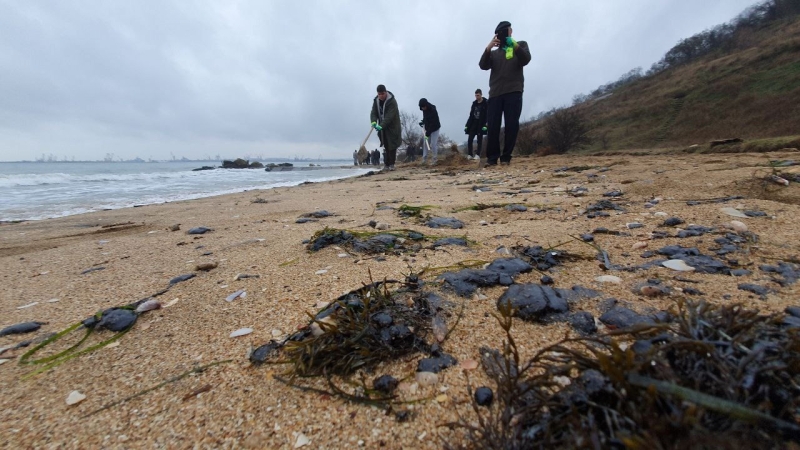 Глава Росспоживнагляду заявила, що пляжі в Криму &laquo;вільні&raquo; від мазуту та придатні для відпочинку, незважаючи на нові викиди