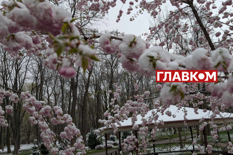 У весну увірвалась зима. Фоторепортаж з Києва