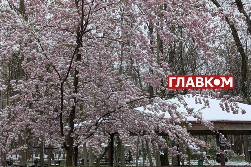 У весну увірвалась зима. Фоторепортаж з Києва