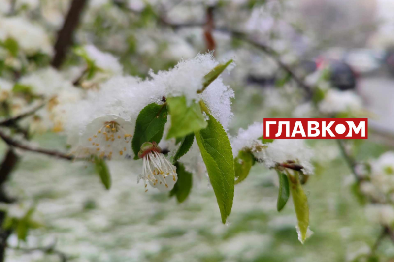 У весну увірвалась зима. Фоторепортаж з Києва