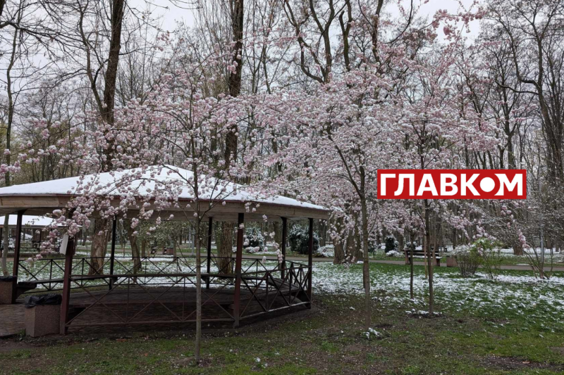 У весну увірвалась зима. Фоторепортаж з Києва