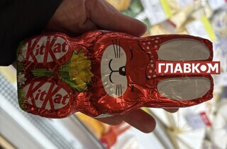 Магазини завалені кролями. Що відомо про символ Великодня, який підхопила Україна