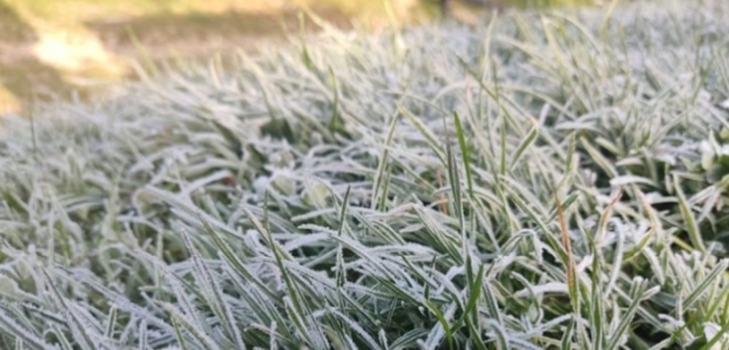 Українцям варто готуватись до заморозків: які сюрпризи приготувала погода у найближчі дні