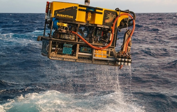 Колосального кальмара вперше побачили в глибинах океану