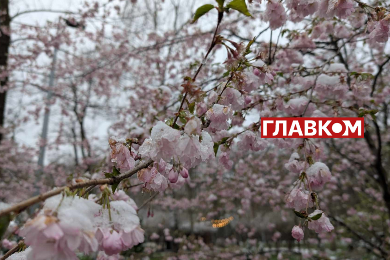 У весну увірвалась зима. Фоторепортаж з Києва