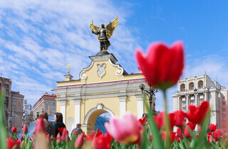 У Києві розквітли перші тюльпани: перелік адрес для весняної фотопрогулянки