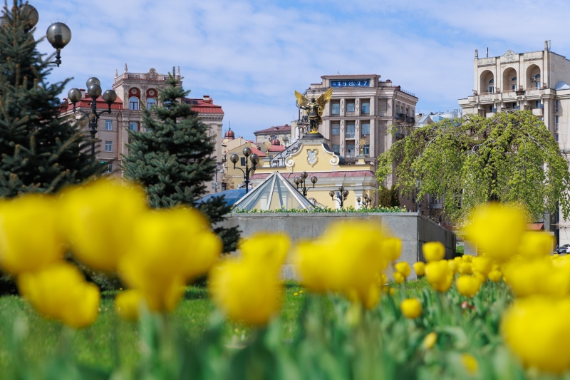 У Києві розквітли перші тюльпани: перелік адрес для весняної фотопрогулянки