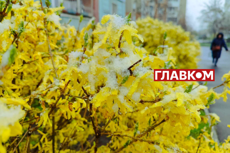 У весну увірвалась зима. Фоторепортаж з Києва