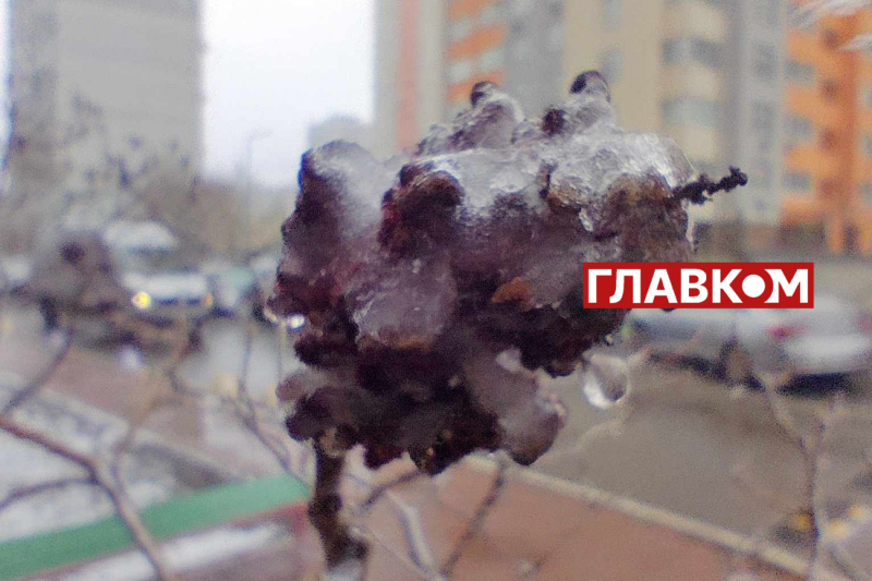 У весну увірвалась зима. Фоторепортаж з Києва