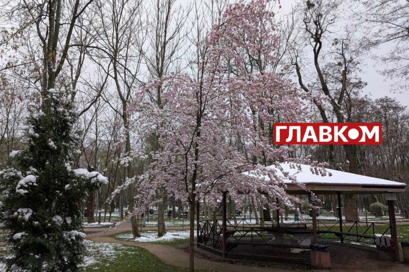 У весну увірвалась зима. Фоторепортаж з Києва