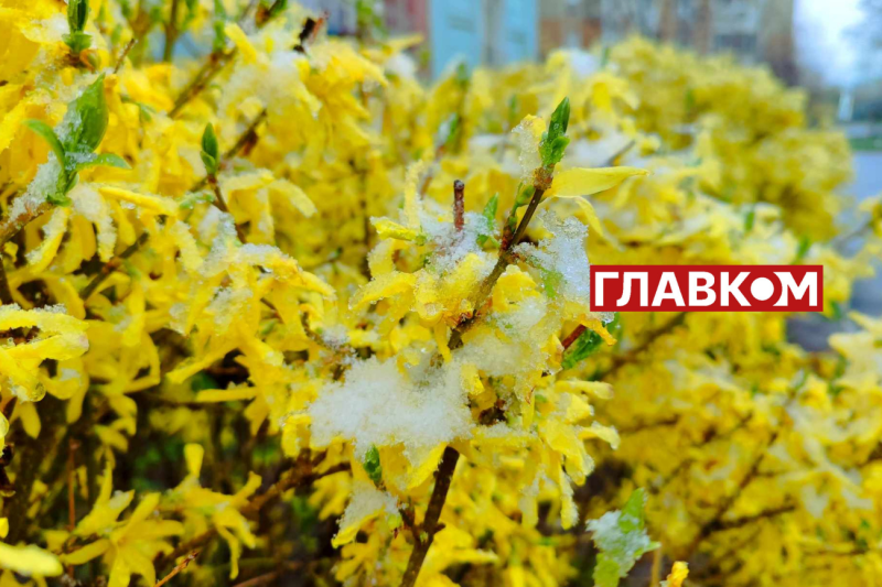 У весну увірвалась зима. Фоторепортаж з Києва