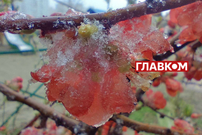 У весну увірвалась зима. Фоторепортаж з Києва