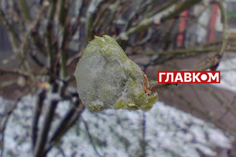 У весну увірвалась зима. Фоторепортаж з Києва