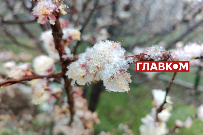 У весну увірвалась зима. Фоторепортаж з Києва