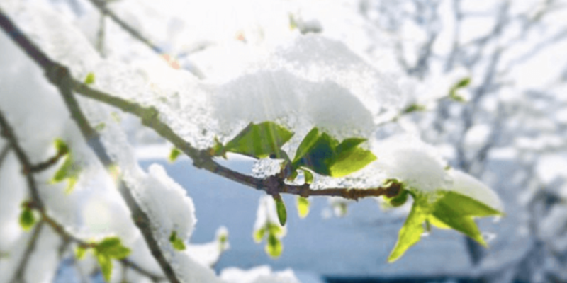 В Україні похолодає ще сильніше: все змінить новий циклон