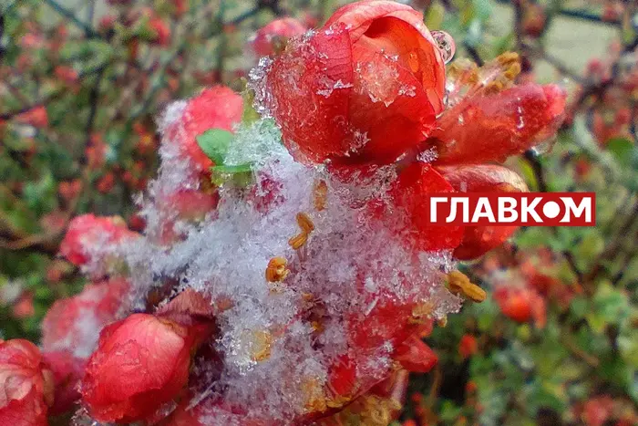 У весну увірвалась зима. Фоторепортаж з Києва