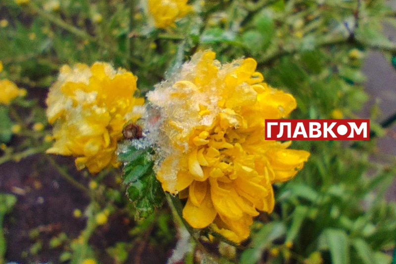 У весну увірвалась зима. Фоторепортаж з Києва