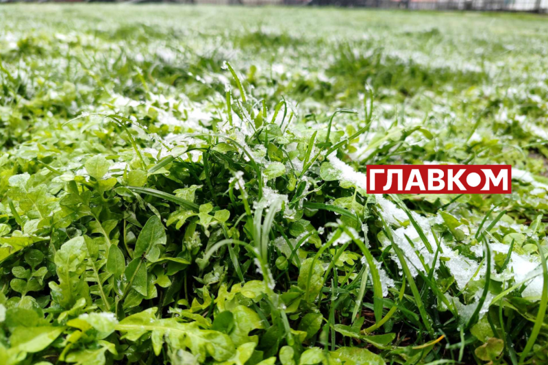 У весну увірвалась зима. Фоторепортаж з Києва