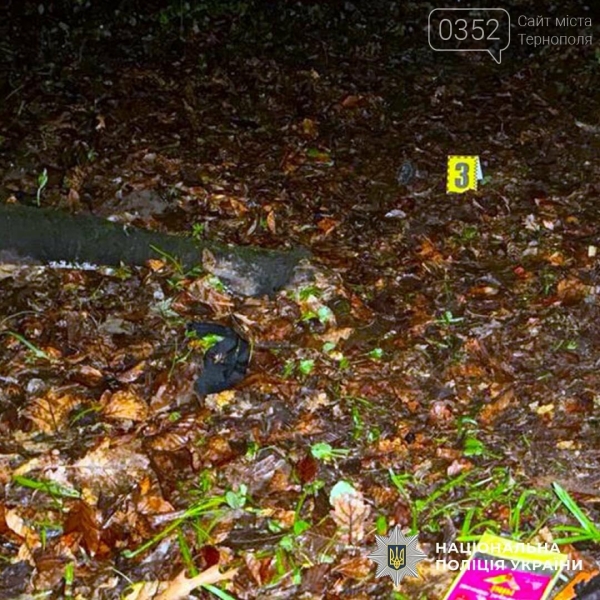 Вирізали жертві очі та знімали жорстоке вбивство на відео: кривава розправа над 19-річним юнаком (ФОТО)