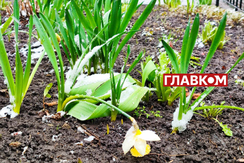 У весну увірвалась зима. Фоторепортаж з Києва