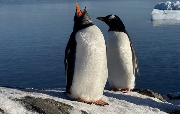 Українські полярники тріумфували на міжнародному фотоконкурсі