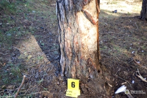 Біля села на Рівненщині знайшли мертвими двох підлітків (ФОТО)