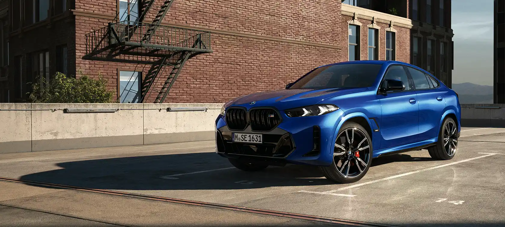bmw x6 g06