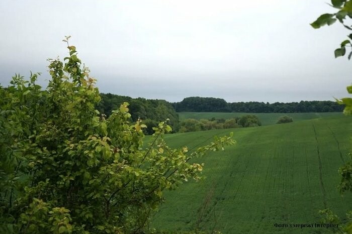 Парк "Корчунецький" отримає чіткі межі: рішення суду за позовом прокуратури