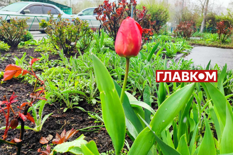 У весну увірвалась зима. Фоторепортаж з Києва