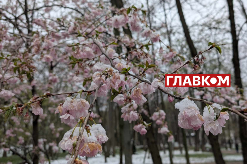 У весну увірвалась зима. Фоторепортаж з Києва
