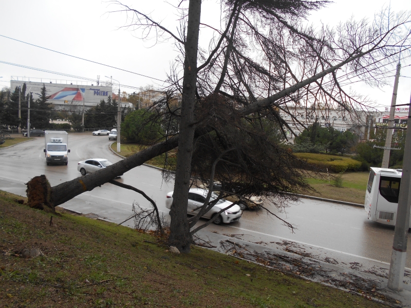 У Криму на три дні оголошено штормове попередження через дощі та сильний вітер &ndash; МНС РФ