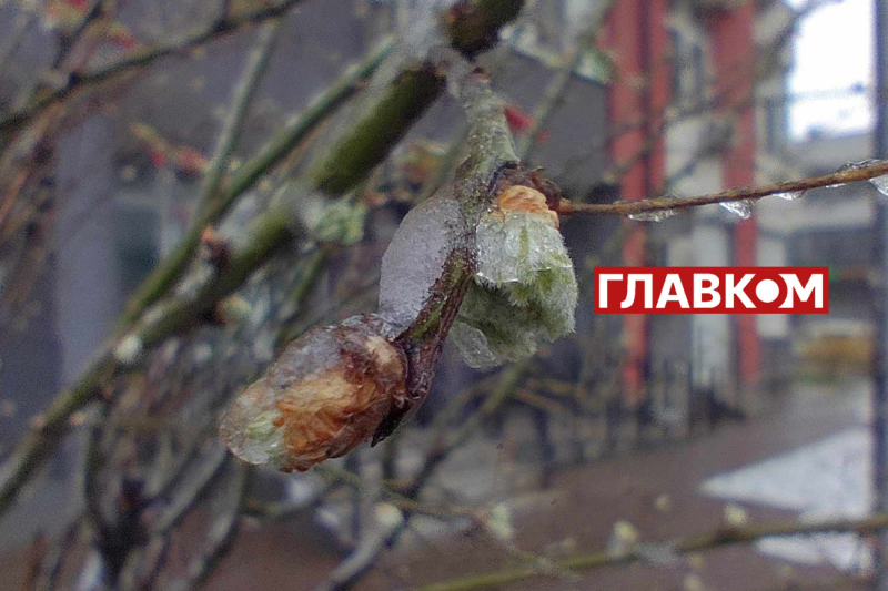 У весну увірвалась зима. Фоторепортаж з Києва